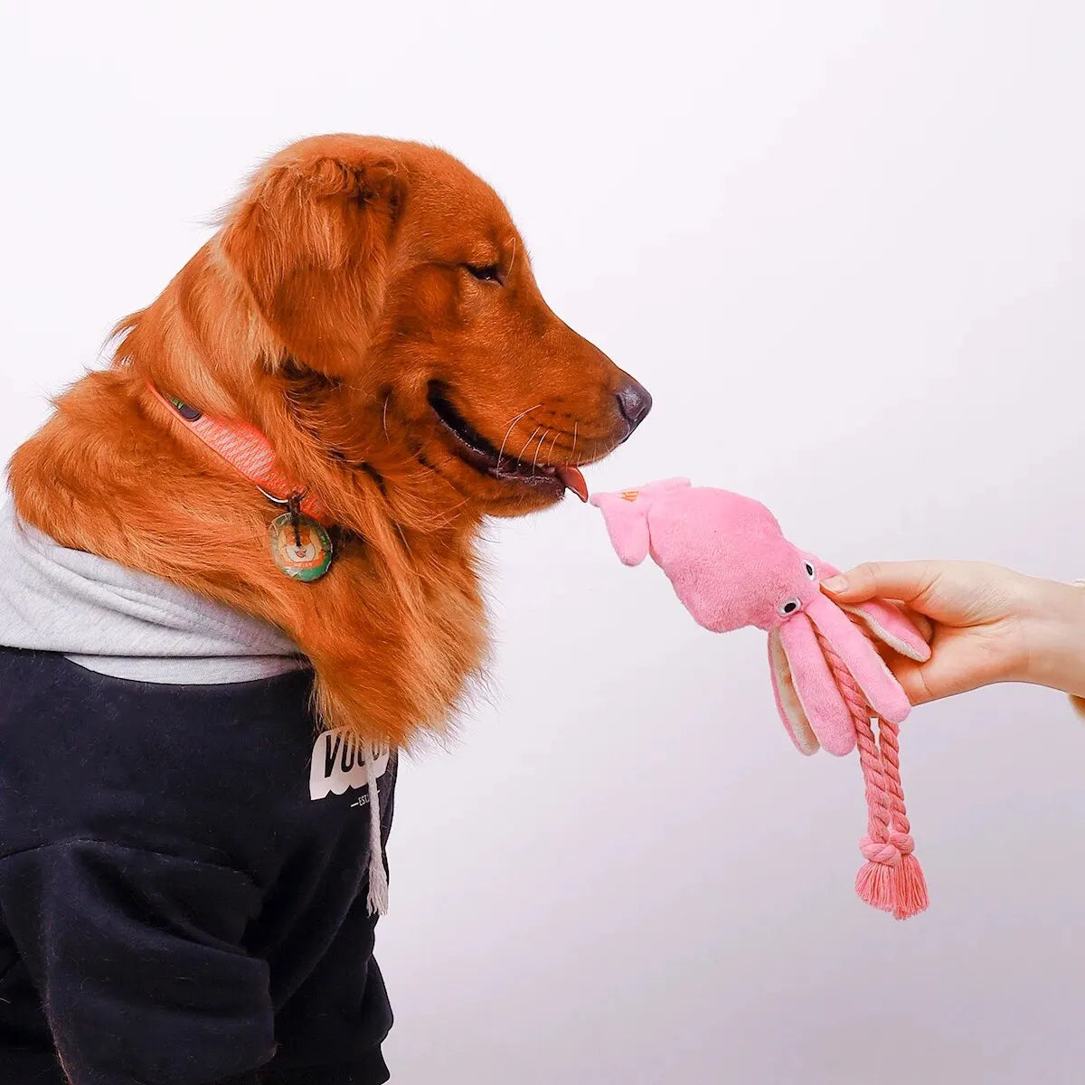 Supet Pet Octopus Plush Rope Toy Is Bite-resistant